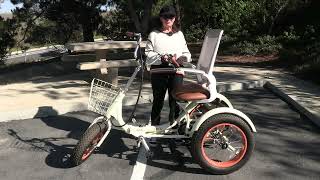 Which Dealers Offer E-Trikes with Built-In Lighting Packages? | Sixthreezero Explains