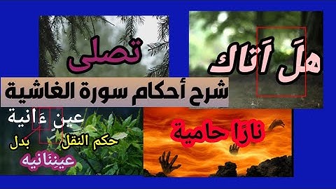 شرح أحكام سورة الغاشية برواية ورش وصلاووقفا للمبتدئين