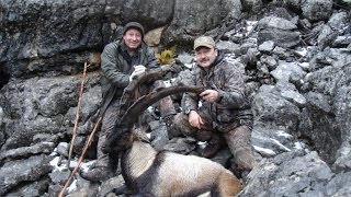 Bezoar Ibex Hunting in Akseki/TURKEY Recep ECER - HALİL GÜLÇUR /
