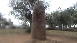 Portugal 12: Evora :1) self-guided walking tour of Roman ruins, 2) day tour to Almendres Menir