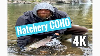 Hatchery COHO: 4K Cinematic Footage