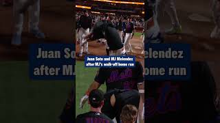 Juan Soto helped rip MJ Melendez's jersey off after his walk-off home run 😂