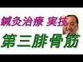 鍼灸治療 実技 (日本語版）  第三腓骨筋へのアプローチ