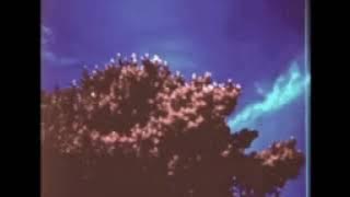 wifiskeleton - nope your too late i already died (instrumental)
