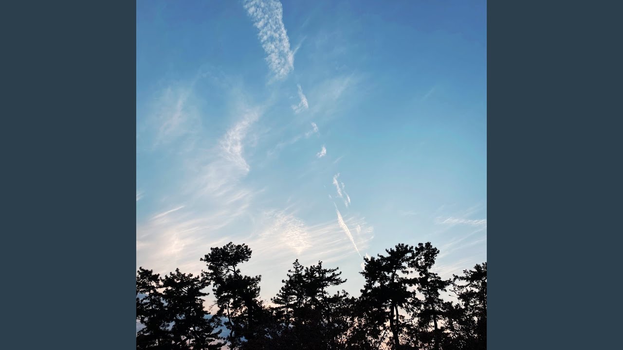 Watch Looking at the Pine Tree on YouTube Watch Looking at the Pine Tree on YouTube