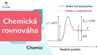 Chemická rovnováha