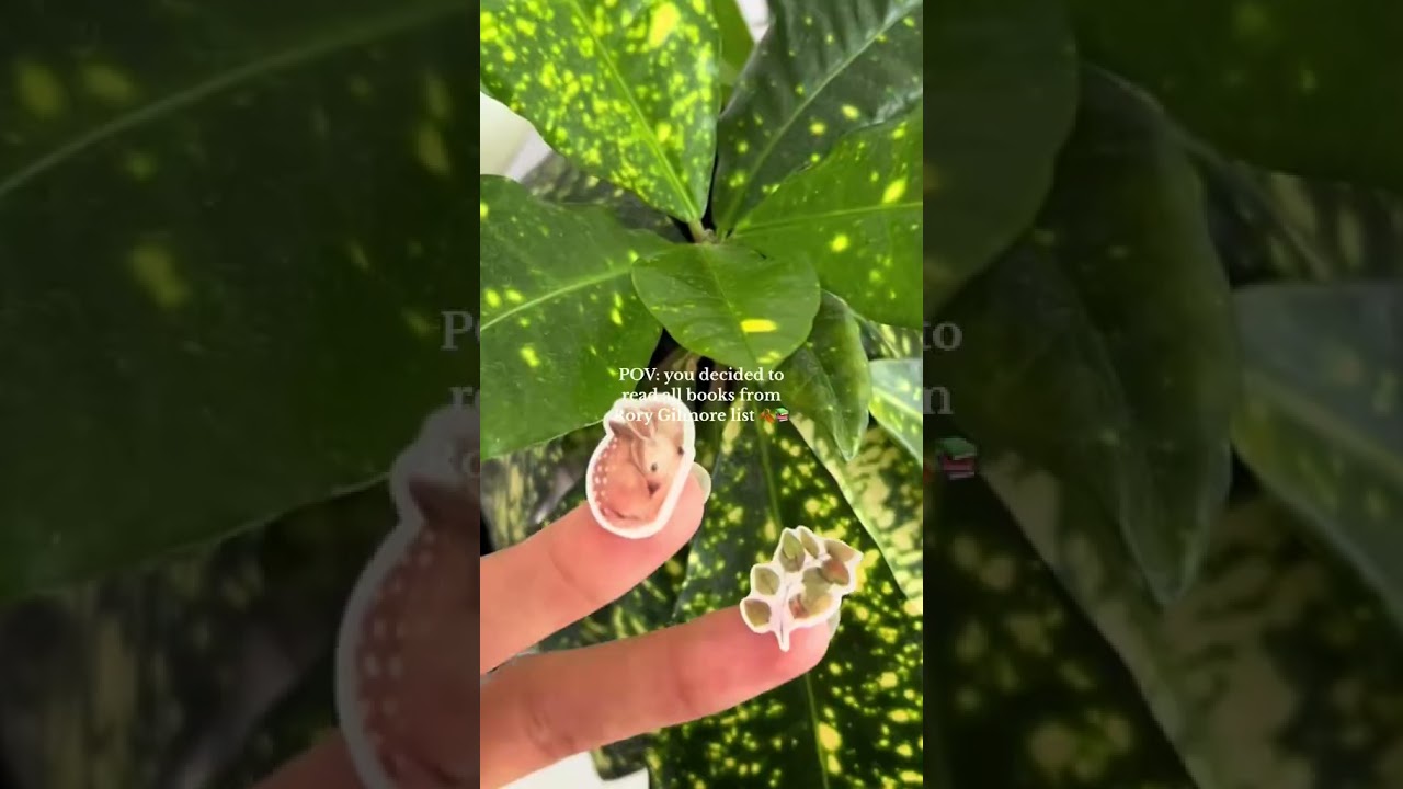 Rory Gilmore reading challenge  