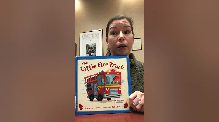 Book Talk - Stephanie Knapp