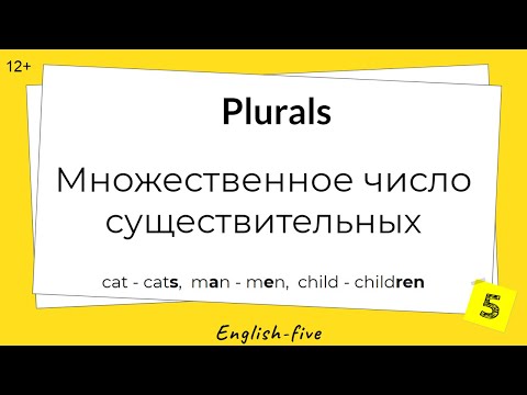 Plurals. Множественное число существительных в английском. Правила и исключения. Упражнения | Урок 6
