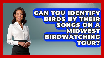 Can You Identify Birds By Their Songs On A Midwest Birdwatching Tour? - The Midwest Guru