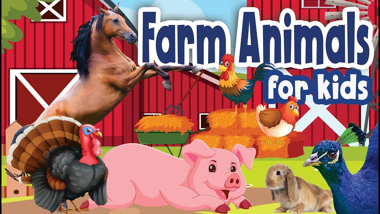 Let's Learn about Farm Animals! | Preschoolers & Kids | Learning about Farm Animals