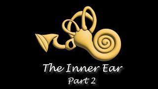 [Perception] The Hearing Series, The Inner Ear - Part2
