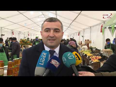 Video: Ballenberqdəki Kənd Sərgisi Və Eşşək Bazarı Necə Keçiriləcək?