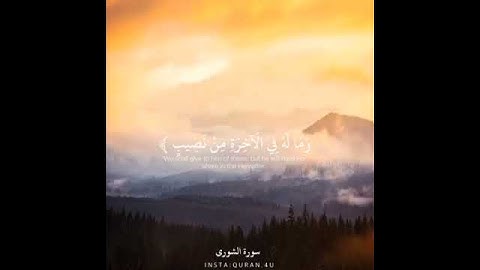 ياسر الدوسري (الله لطيف بعباده) سورة الشورى