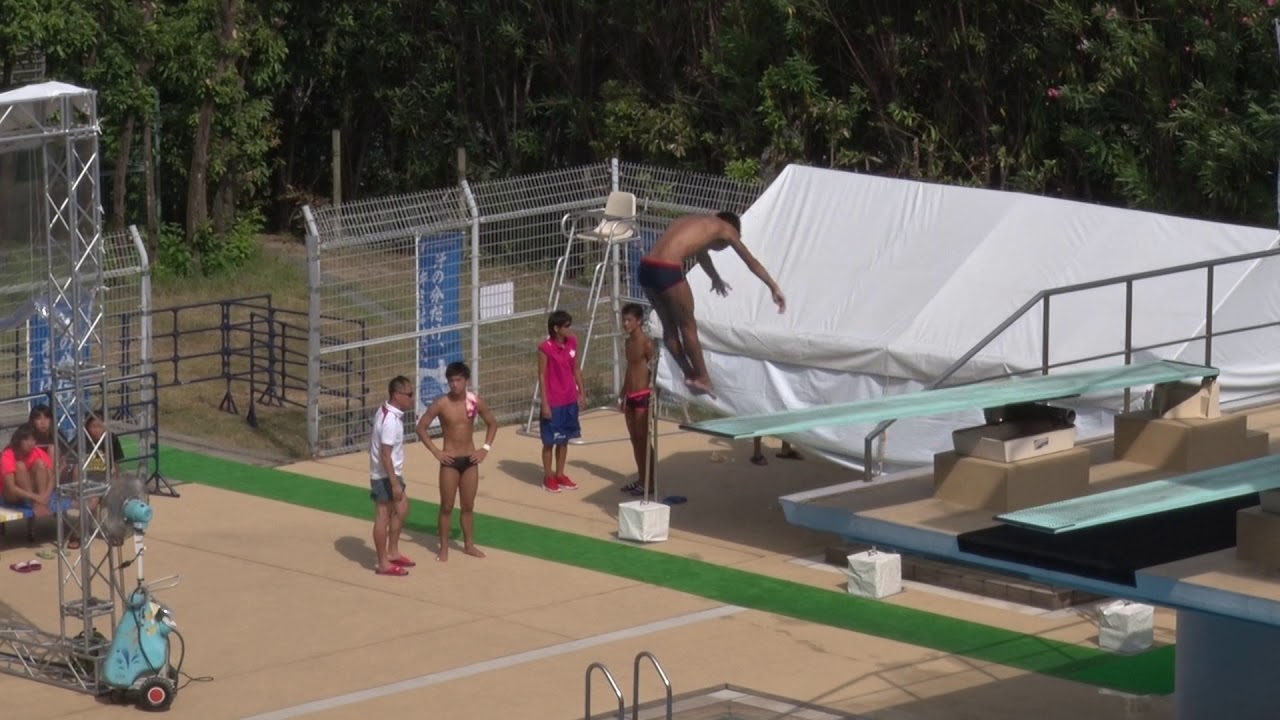2016年IH 水泳 飛板飛込 男子 決勝 制限選択飛②