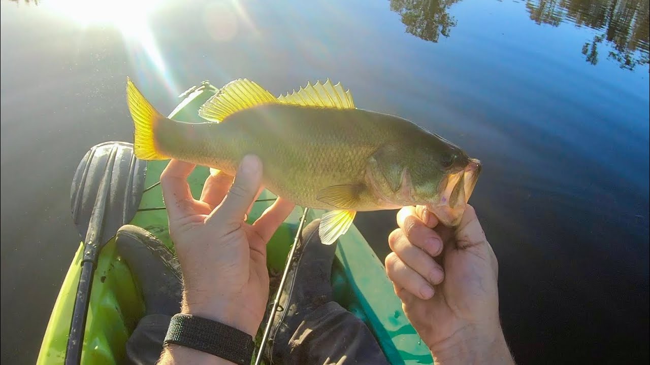 We Go Fishing With A Drone!  Catch Some Big Bass On The New Rod!