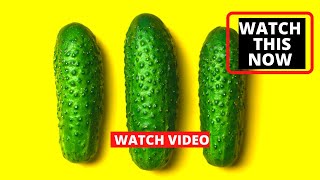 Benefits Of Eating Cucumber - When You Eat A Cucumber Every Day, This Happens To Your Body