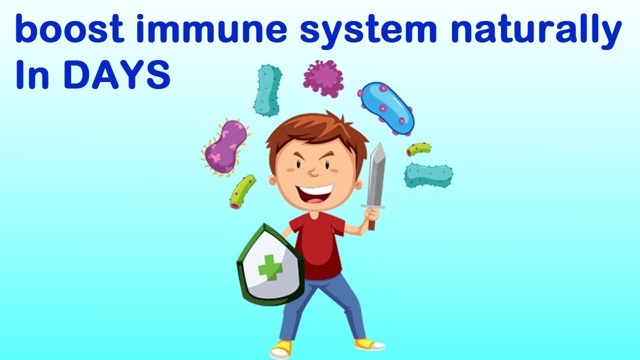 Image result for immune boosting cartoons