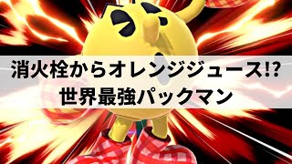 【スマブラSP】日本が誇る世界最強パックマンが無限の引き出しを魅せる【てぃーパックマン ハイライト #2】※再UP