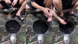 Piranha bit the plastic cup 🥤 | 미친물고기 | 狂った魚