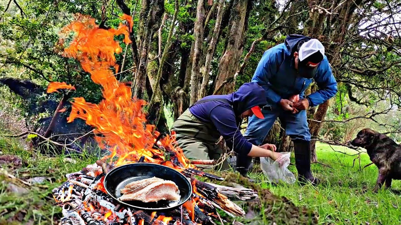 PESCA EN CHILE, Pesca Y COCINA de TRUCHA en el RÍO // FLANDESMAN // SUR DE CHILE // FISHING // TROUT