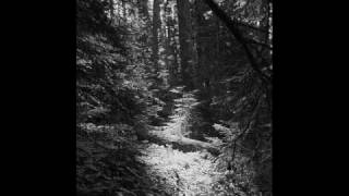 Watch Carpathian Forest Nostalgia video
