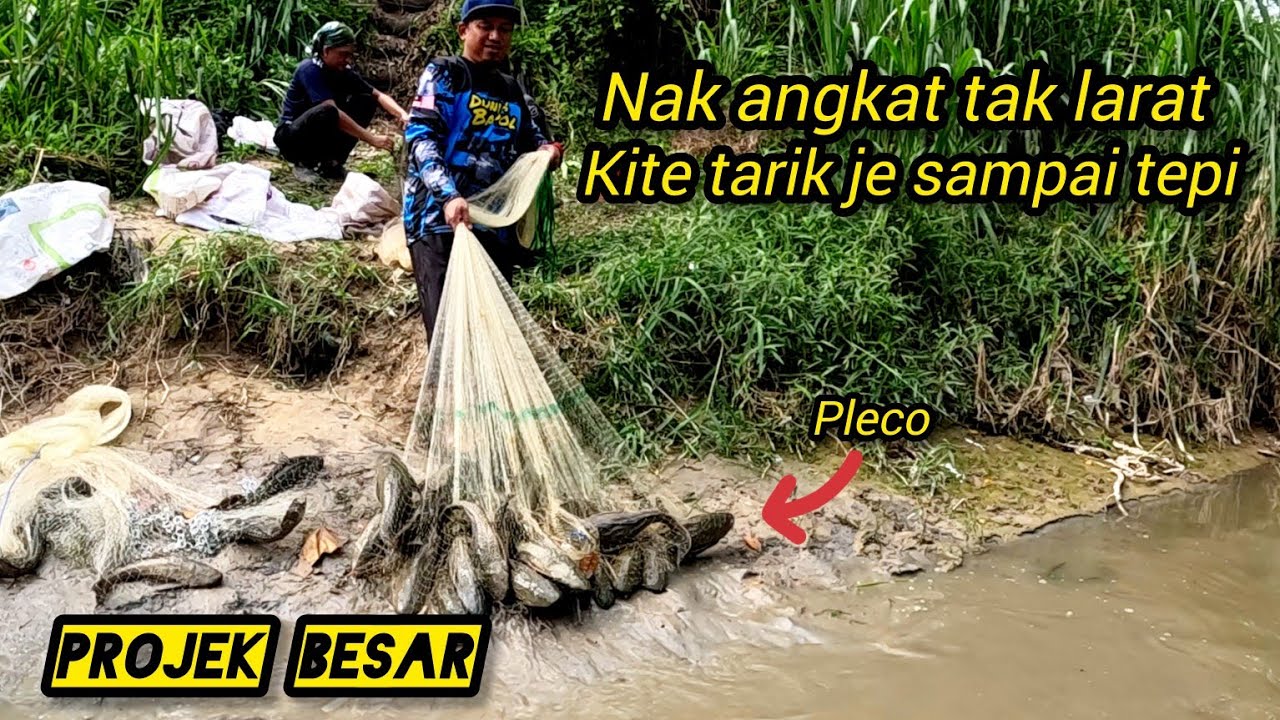 Menjala ikan Bandaraya Untuk Projek Makanan Ayam #gengdunia