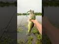 What’s the best lure you have used so far ? #fishinglife #bass #hookset #baitcaster