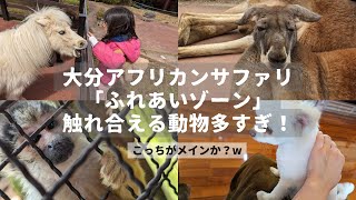 【2023年3月】大分アフリカンサファリのカンガルー・猫犬・リスザル・お馬さん！｜「ふれあいゾーン」の動物を一気に紹介します♪