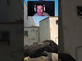 MELHOR SMOKE PORTA MEIO DUST2 #cs2 #csgo #counterstrike #cs2moments #csgoclips