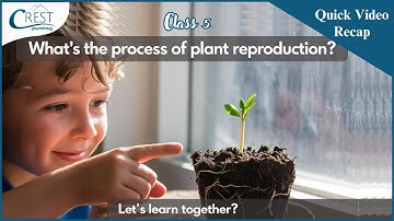 Plant Life & Reproduction | Class 5 Science Olympiad Preparation