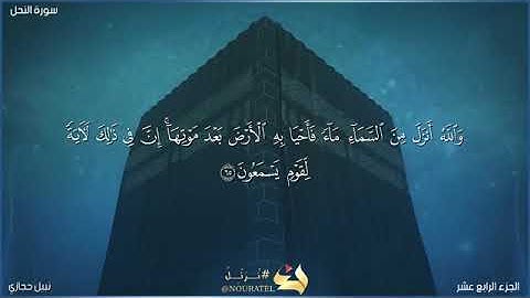 سورة النحل الشيخ نبيل حجازي