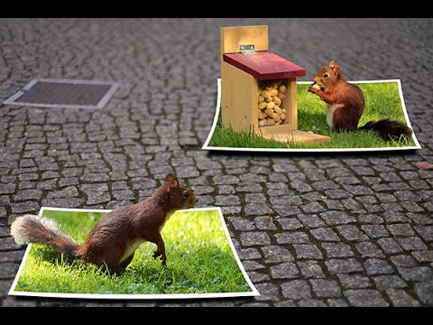 Out of Frame D Effects | Multiple Frame | Photo Collage | PhotoShop Tutorial