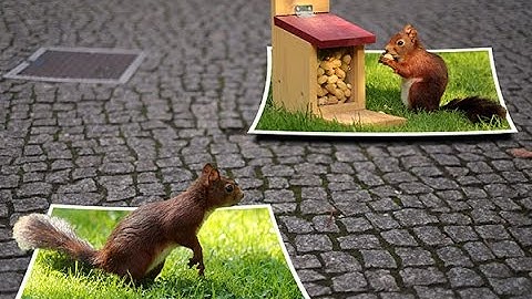 Out of Frame 3D Effects | Multiple Frame | Photo Collage | PhotoShop Tutorial