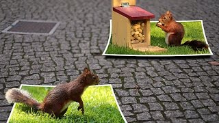 Out of Frame 3D Effects | Multiple Frame | Photo Collage | PhotoShop Tutorial screenshot 4