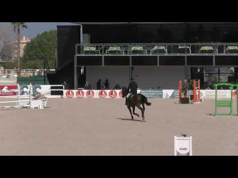 Cava WINNING 140 CSI2** Oliva
