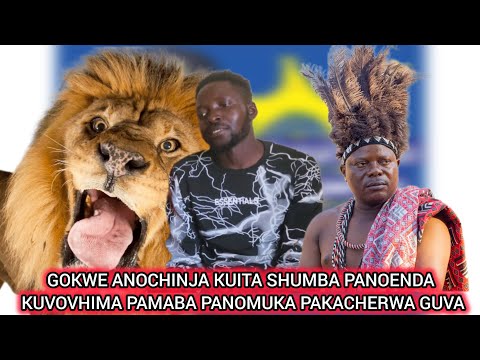 SEKURU GWANDU VAROYI VEGOKWE ANOCHINJA KUITA SHUMBA AENDA KUNOVIMA PAMBA PANO MUKAPAKACHERWA GUVA