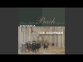 Wir danken dir, Gott, wir danken dir, BWV 29/1: Sinfonia