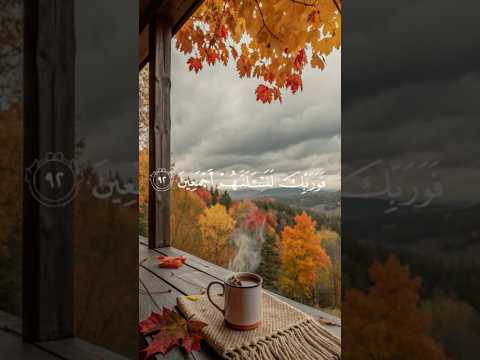 مشهد يهز القلب ف و ر ب ك ل ن س أ ل ن ه م أ ج م ع ين تلاوة تهز الوجدان عبدالرحمن مسعد خشوع