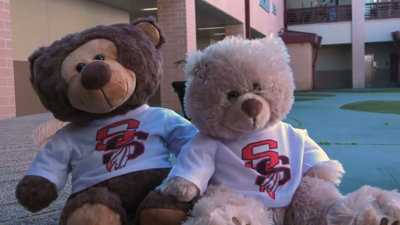 Seminole Teddy Bears Commercial