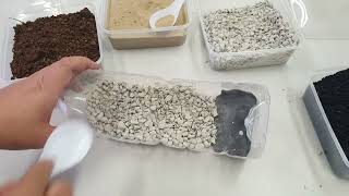 AMKP Science : Build Your Own Rain Garden & Conduct Experiments