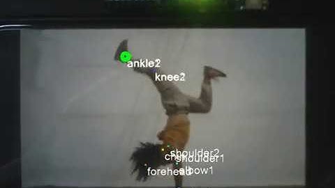 Bonsai + DeepLabCut Live