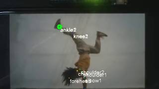 Bonsai + DeepLabCut Live