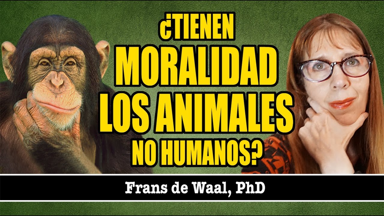 Frans de Waal: ¿Tienen MORALIDAD los ANIMALES no humanos?