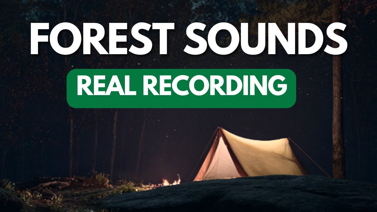 Forest Sounds at Night: Relaxing Nature Sounds & Crickets for Sleeping (3 Hours)