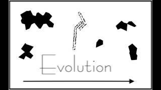 Plarixx - Evolution (Original Mix)