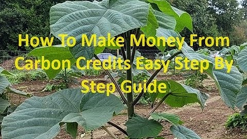 How To Make Money Trading Carbon Credits That You Actually Create