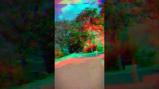 горная дорога в Гималаях #timelapse #himalayas