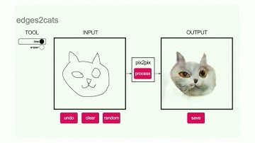 Visual Translation in Generative Adversarial Networks
