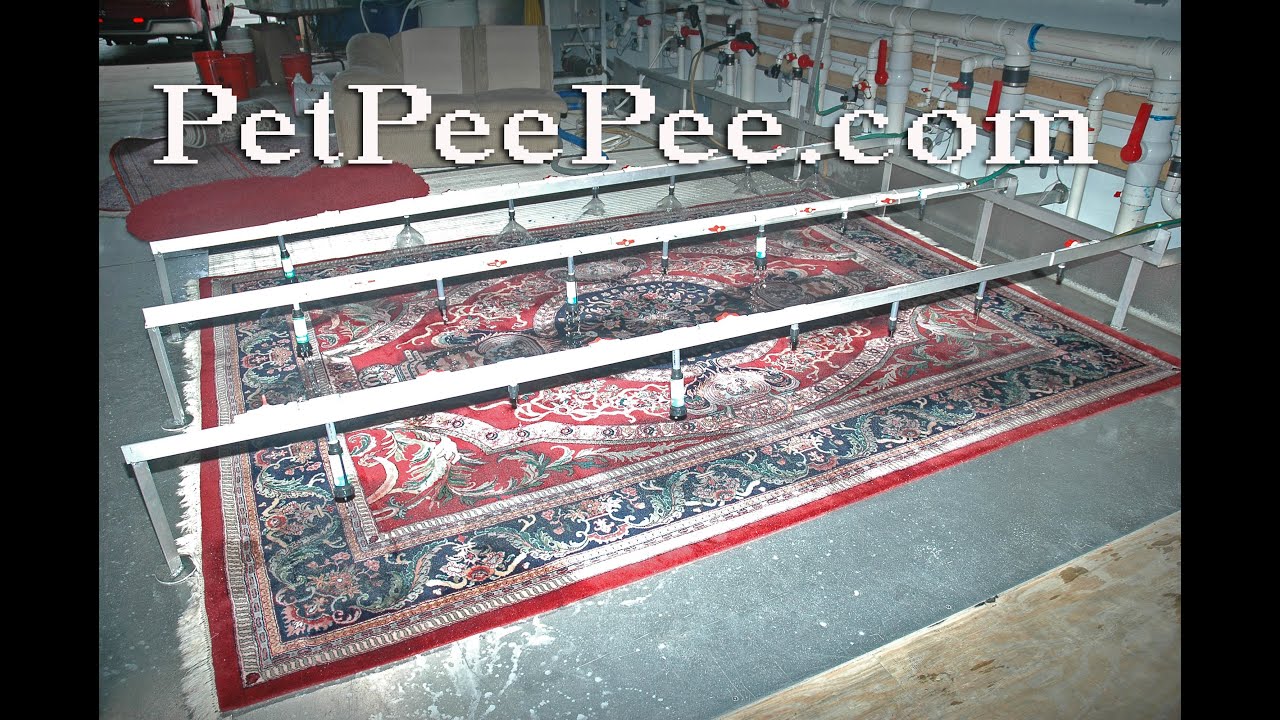 ORIENTAL RUG CLEANING SERVICE IN A VIDEO YouTube